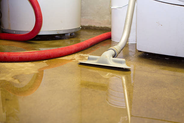  Sidy, NE Water damage restoration Pros