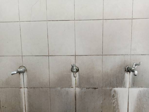 Best Sewage cleanup and water damage restoration  in Sidy, NE