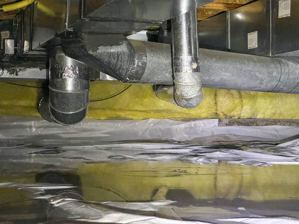 Best Flood damage cleanup  in Sidy, NE