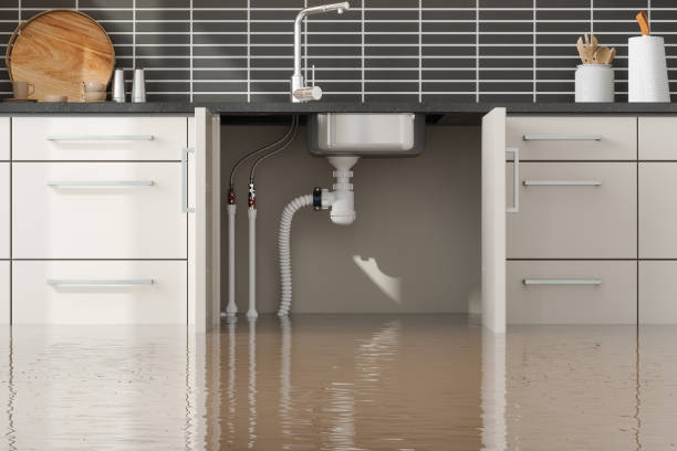 Water damage restoration experts in NE
