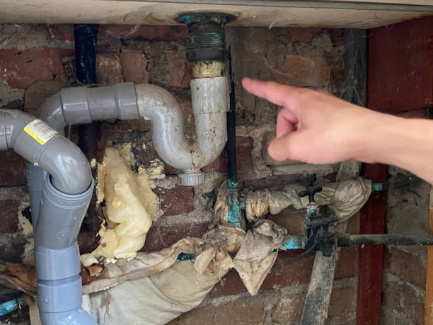 Best Water damage restoration near me  in Sidy, NE