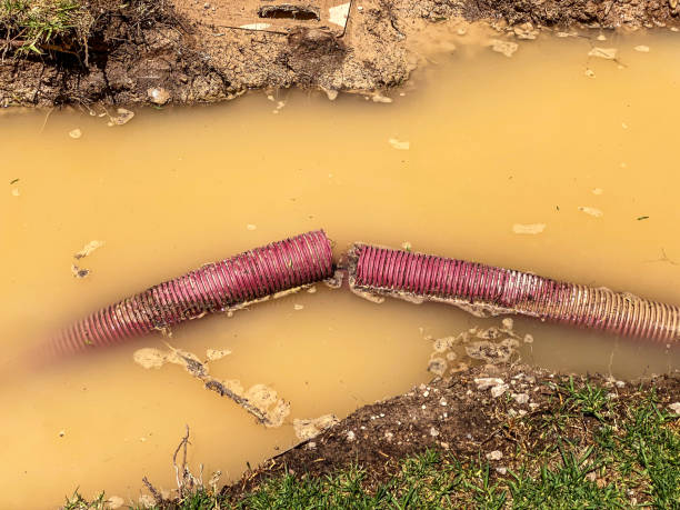 Best Water damage restoration specialists  in Sidy, NE